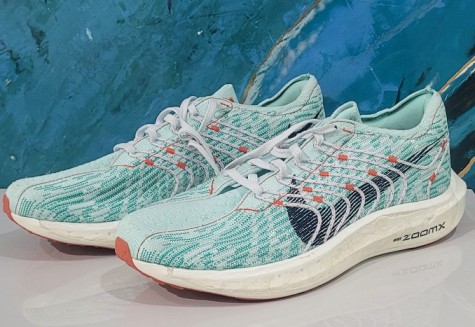 PEGASUS TURBO FLYKNIT NEXT NATURE